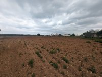 Photograph of Complex