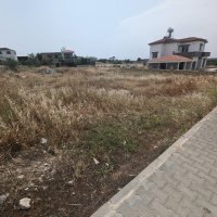 Photograph of Complex