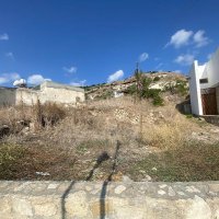 Photograph of Complex