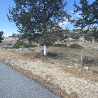 Photograph of Complex