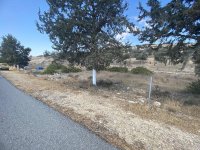 Photograph of Complex