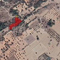 Photograph of Complex