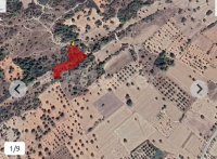 Photograph of Complex