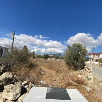 Photograph of Complex