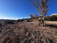 Photograph of Complex