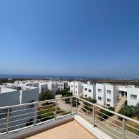 Photograph of Complex