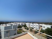 Photograph of Complex