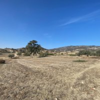 Photograph of Complex