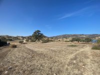 Photograph of Complex