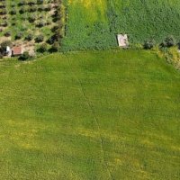 Photograph of Complex