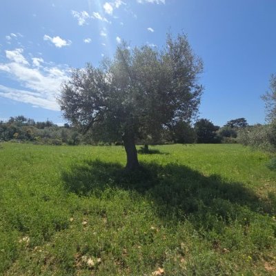 Picture of Property