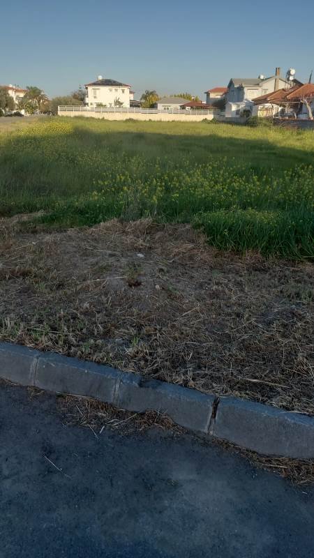 Picture of Property
