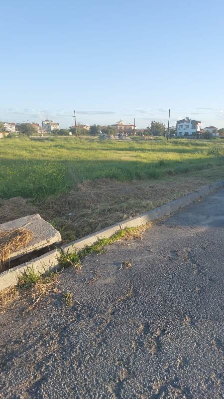 Picture of Property
