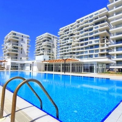 Picture of Property