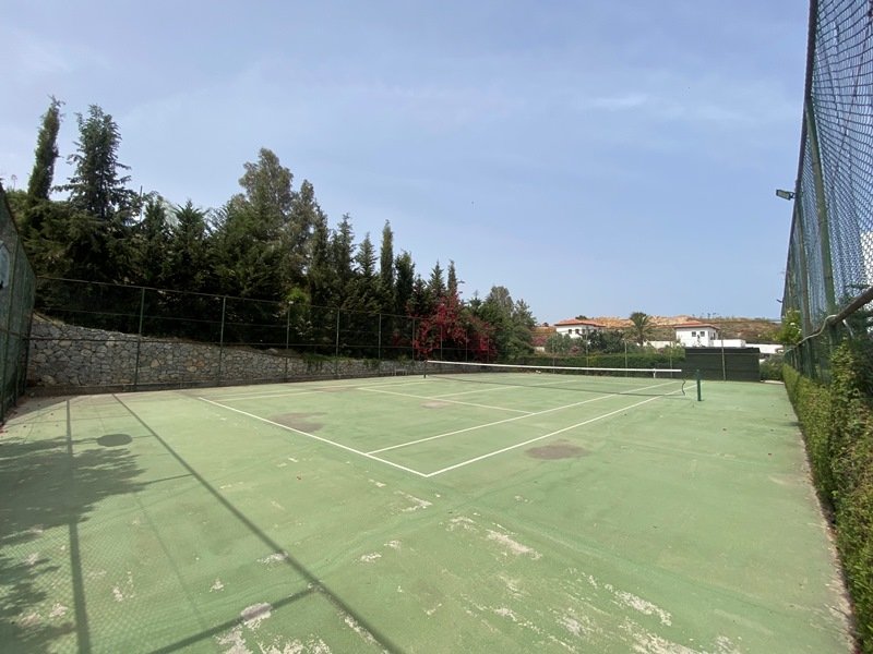 Picture of Property