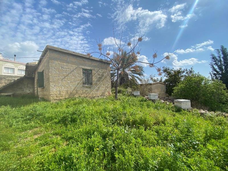 Picture of Property