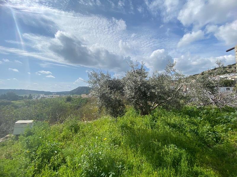 Picture of Property