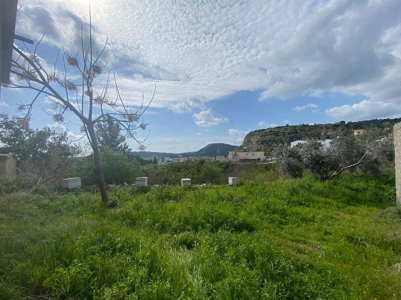 Picture of Property