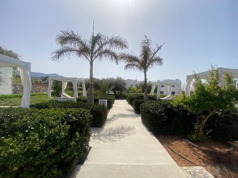 Picture of Property