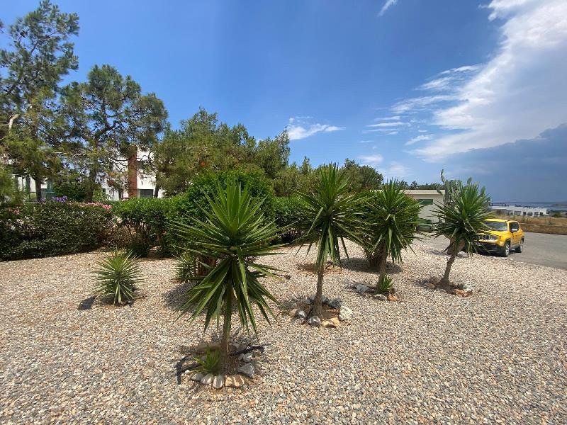 Picture of Property