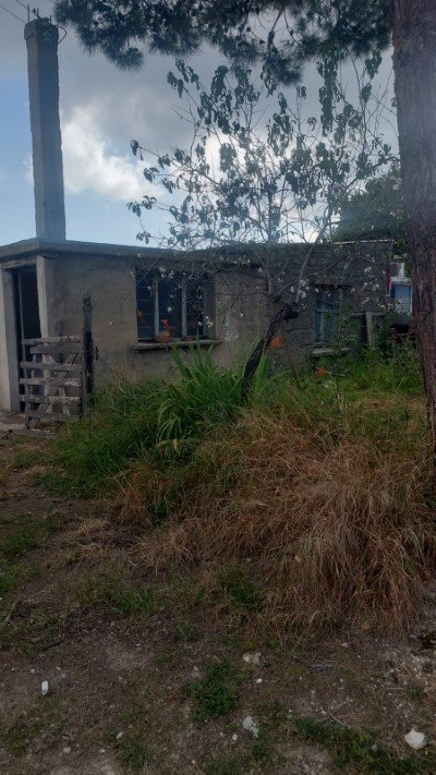 Picture of Property