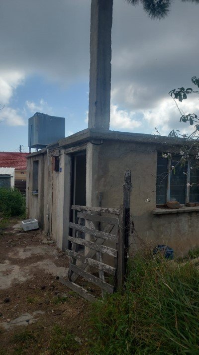 Picture of Property