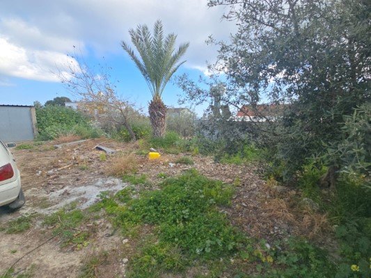 Picture of Property