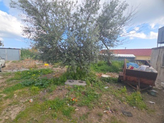 Picture of Property