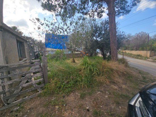 Picture of Property