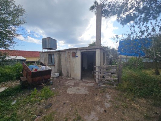 Picture of Property