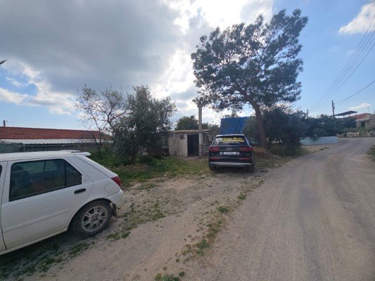 Picture of Property