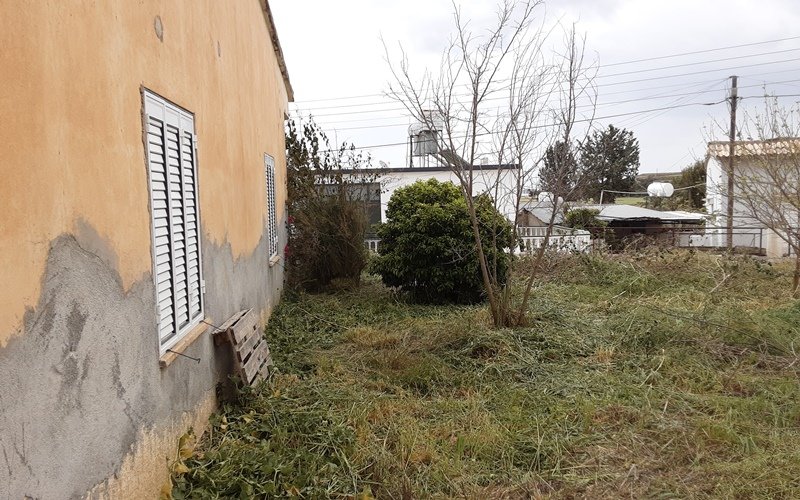 Picture of Property