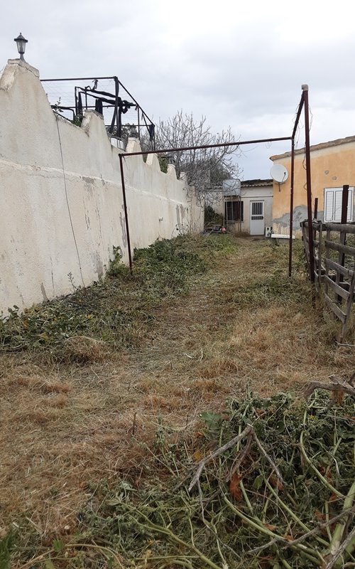 Picture of Property