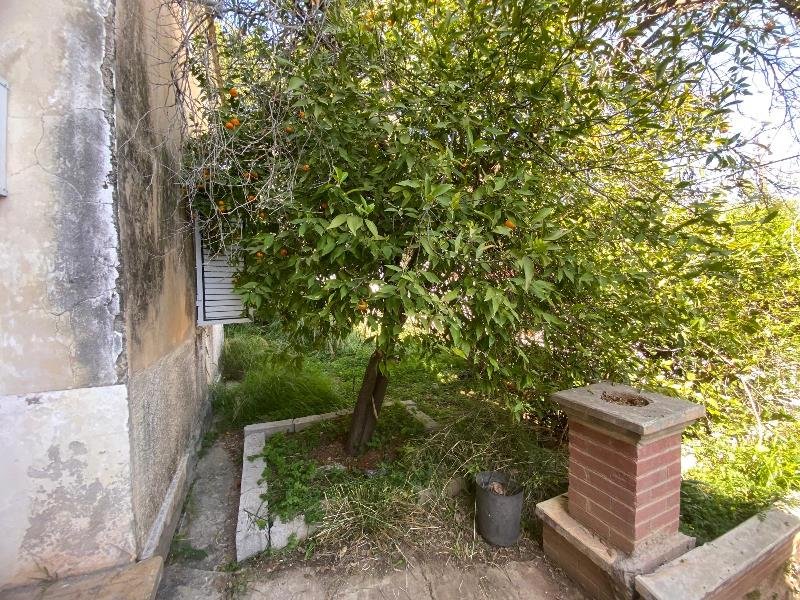 Picture of Property
