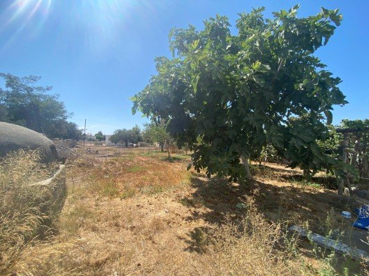 Picture of Property