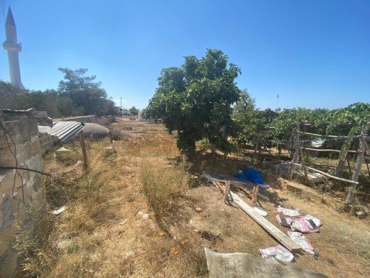 Picture of Property