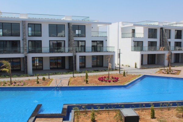 Picture of Property