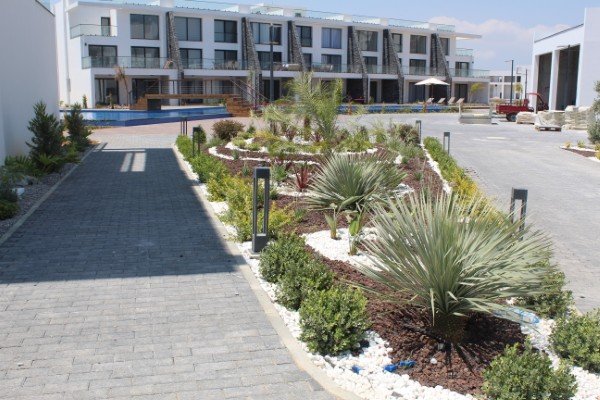 Picture of Property