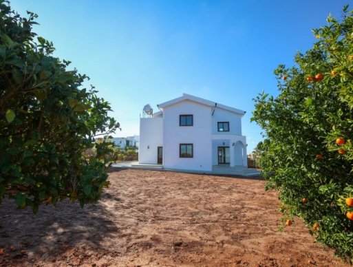 Picture of Property