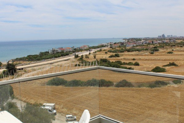 Picture of Property