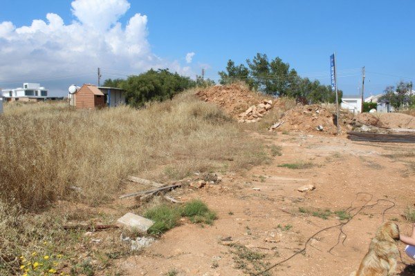 Picture of Property