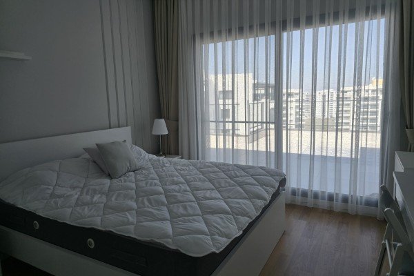 Picture of Property