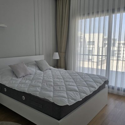 Picture of Property