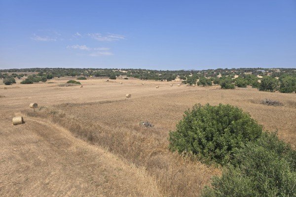 Picture of Property