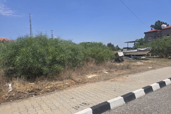 Picture of Property