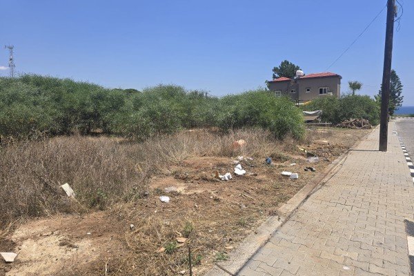 Picture of Property
