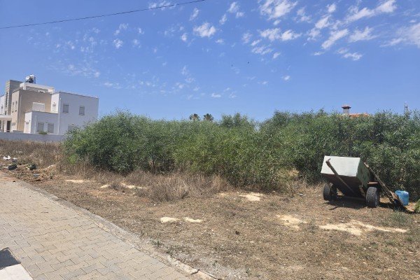 Picture of Property