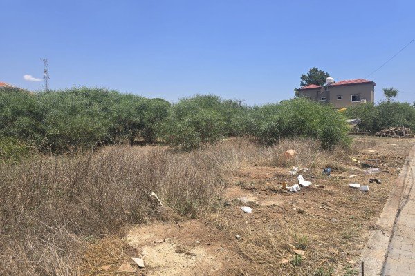 Picture of Property