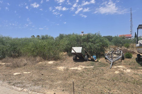 Picture of Property