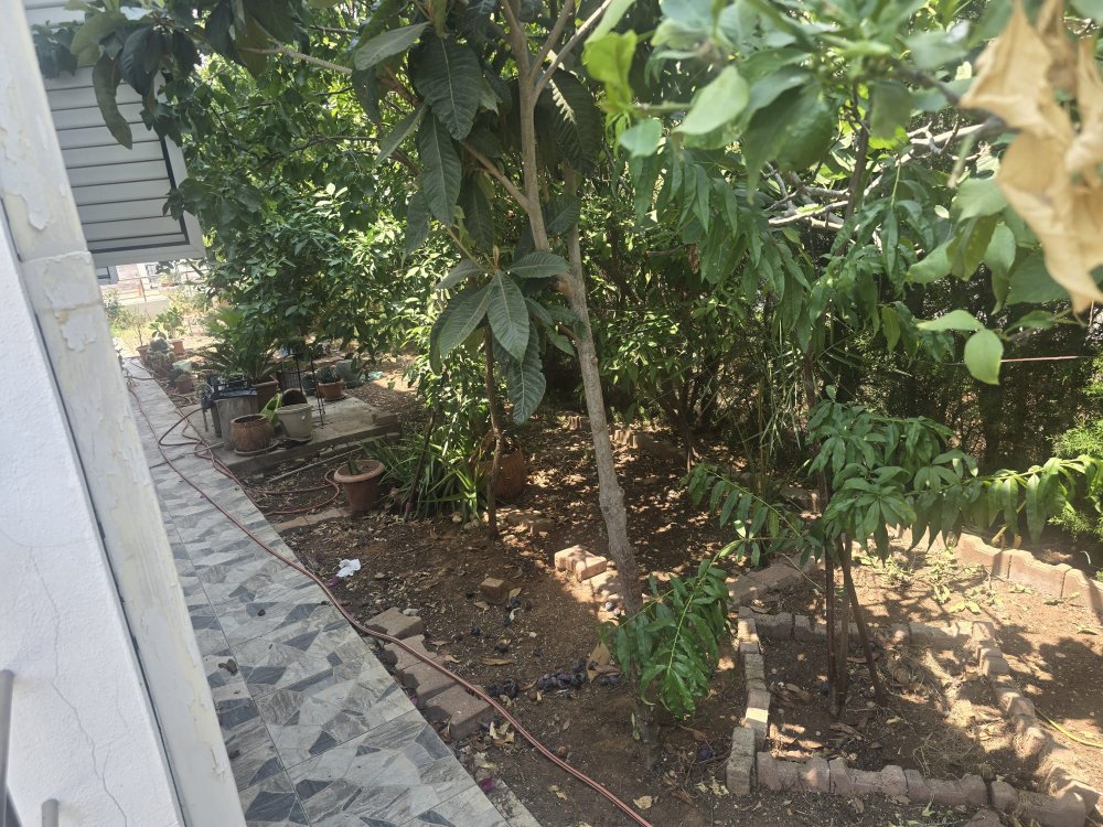 Picture of Property